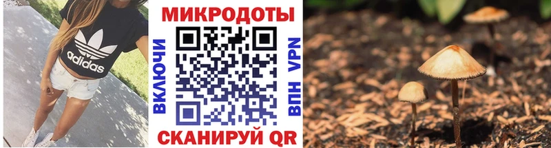 blacksprut как войти  Вилючинск  darknet Telegram  где можно купить   Галлюциногенные грибы MAGIC MUSHROOMS 